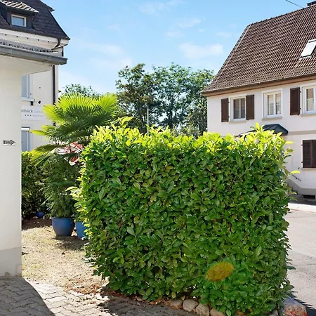 Bluehome Apartamento Bad Bellingen